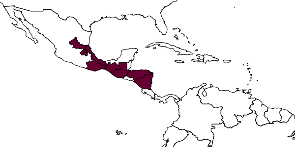 map of Euglossa obrima     Hinojosa-Díaz, Melo & Engel, 2011